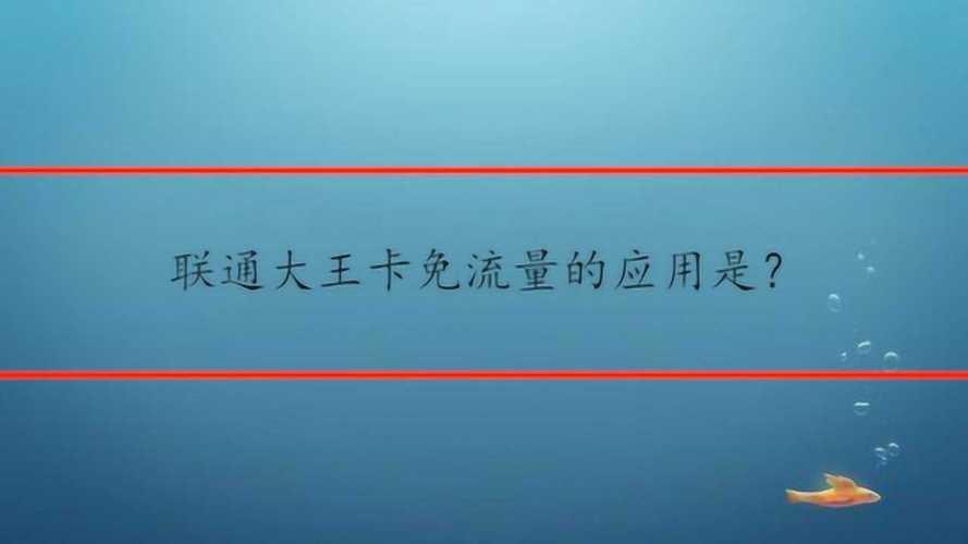 大王卡免流服务为用户节省大量流量费用