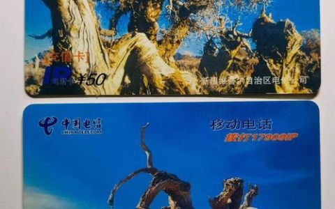 电信胡杨卡怎么办理？办理攻略来啦