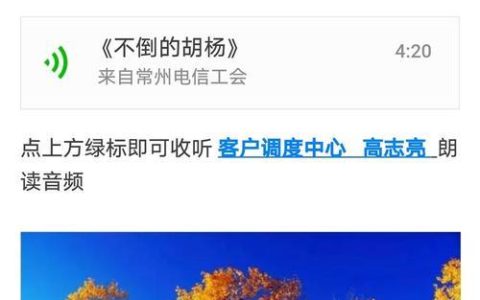 电信胡杨卡：性价比之王，流量党必备