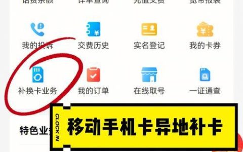 主卡能查询副卡的上网记录吗？