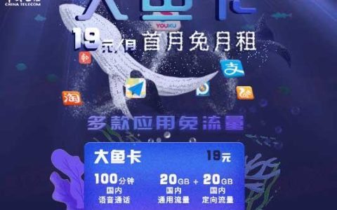 大鱼卡：阿里系APP免流量，月租19元，适合谁？