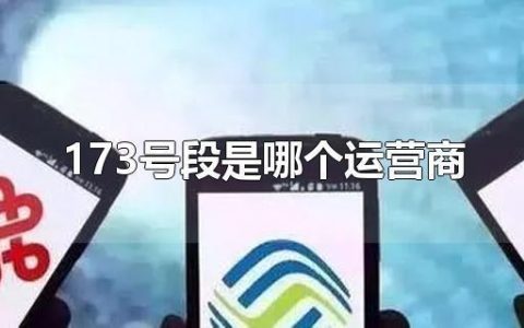 173号段是哪个运营商？