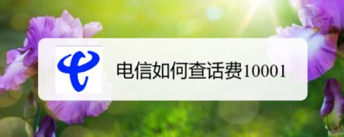 10001电信话费查询方法介绍