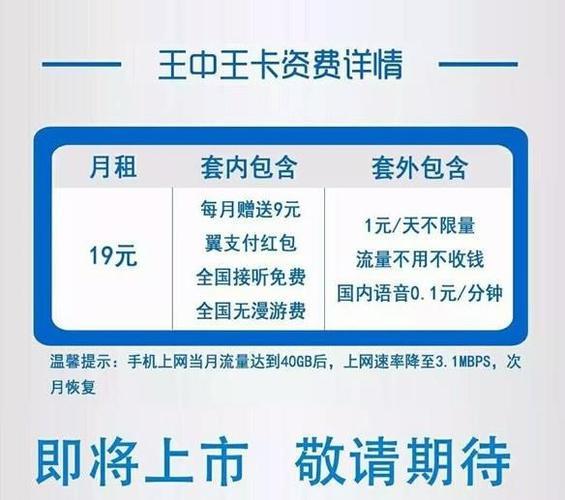 电信19元大王卡申请入口，轻松办理省钱又划算