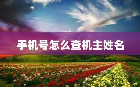 怎么查电话号码的机主姓名？