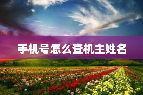 怎么查电话号码的机主姓名？