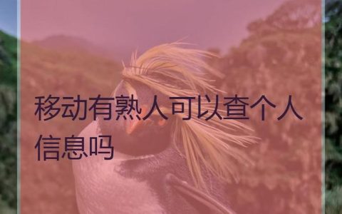 移动有熟人可以查个人信息吗？