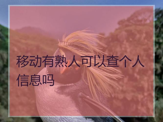 移动有熟人可以查个人信息吗？