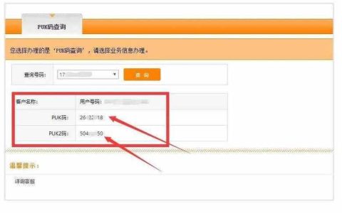 电信服务密码怎么查？教你两种方法