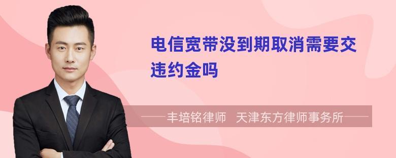 电信违约金一般多少钱？看完你就懂了