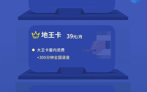 19元大王卡申请攻略，轻松办理低价流量卡