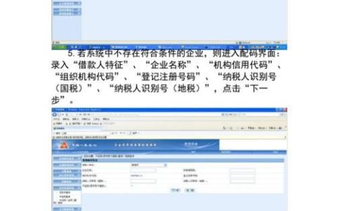 企业中征码查询官网入口，查询流程与注意事项