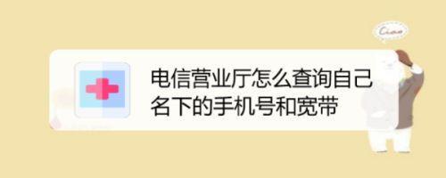 电信手机号码怎么查询？教你三种方法