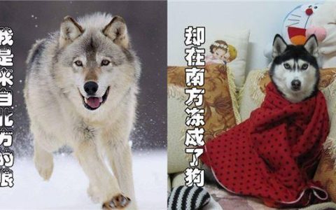 电信itv收费吗？答案是&hellip;&hellip;