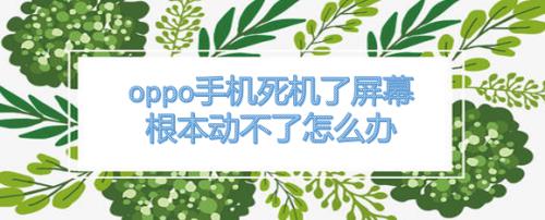 手机死机了屏幕动不了也关不了机？教你3种解决方法