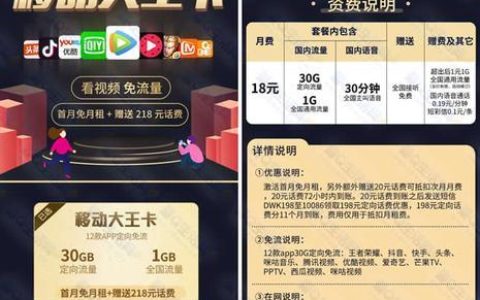 移动大王卡免费申请选号，流量多到爽歪歪