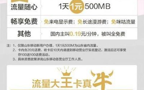 中国移动大王卡申请官网，流量任性用
