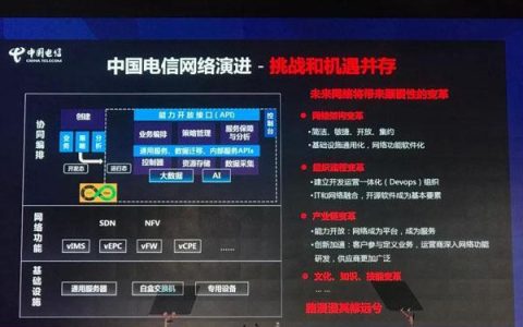 中国电信的优势：引领数字经济新时代