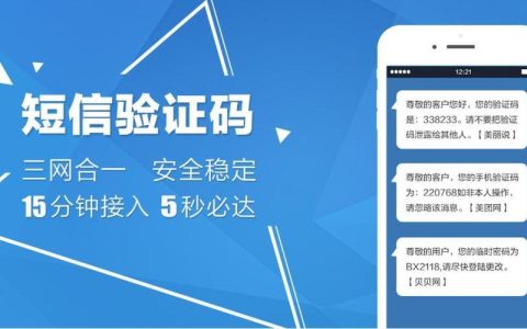 虚拟手机号码接收短信验证码平台：简介与使用指南