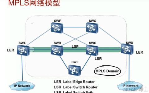 LSP路由器：MPLS网络的关键组成部分