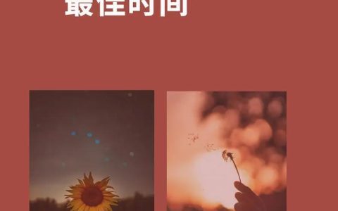 打电话的最佳时间：如何避免打扰他人并提高接通率