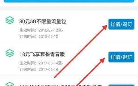 如何查询移动套餐详情？