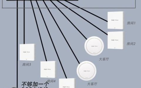 六类网线安普：高性能网络解决方案