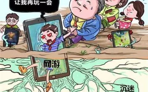 网络的消极影响