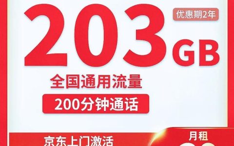 办一个流量卡多少钱一个月？