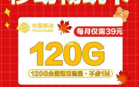 办一张手机流量卡多少钱？