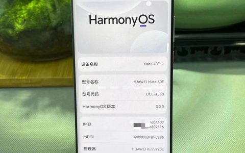 Mate40E有4G版本吗？