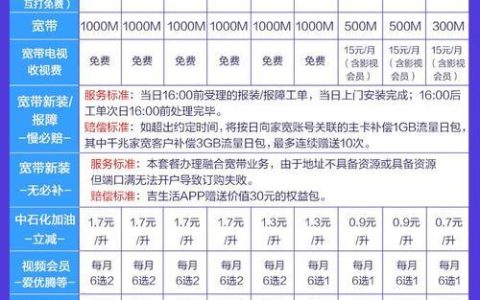 移动套餐流量：如何选择最适合您的套餐？