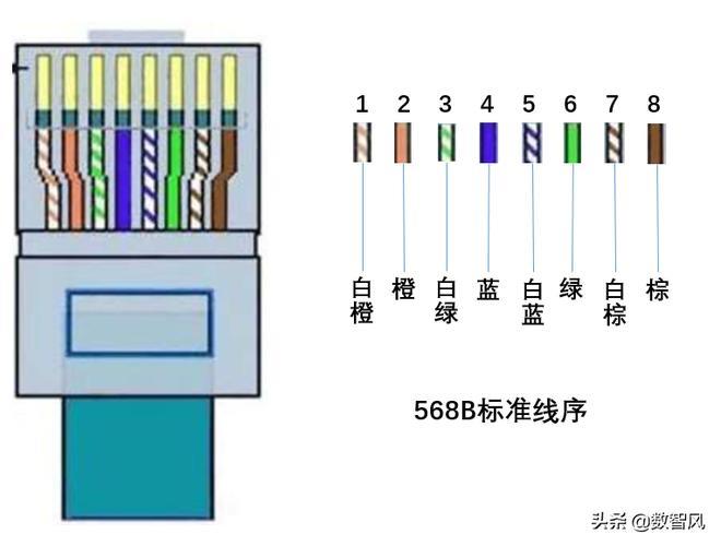 网线分正反头吗？