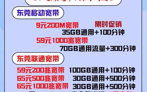 报装网线要多少钱一年？