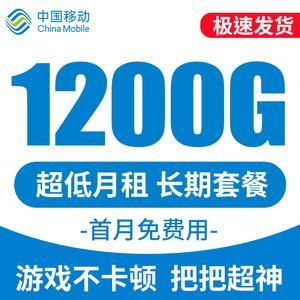 移动版流量卡：你的上网新选择