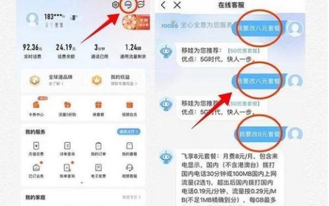 2024移动流量转赠：详细攻略与最新政策解读