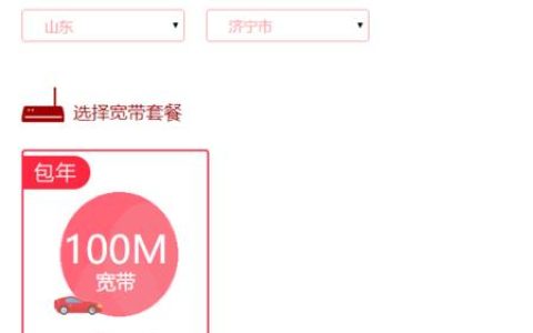 联通100m专线宽带一年多少钱？