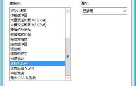 虚拟机网络慢怎么办？常见原因及解决方法