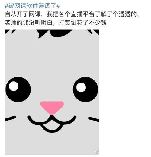 适合上网课的头像：彰显个性，又利于网课学习