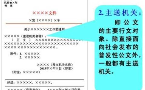 公文格式联系人：规范编排，传递信息