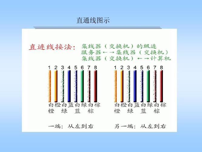 双绞线的分线过程