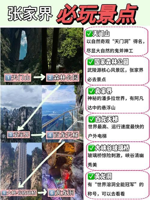 Joytel电话卡运营商：全球旅行者的便捷上网选择