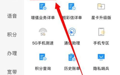 如何查询电信副卡流量？
