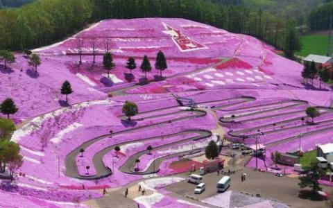 联通日本电话卡：畅游日本，一卡搞定！