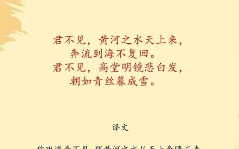 号青莲居士什么意思？