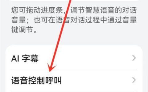 电话卡关闭语音功能是什么意思？