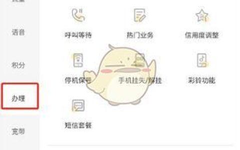 副卡要怎么办？