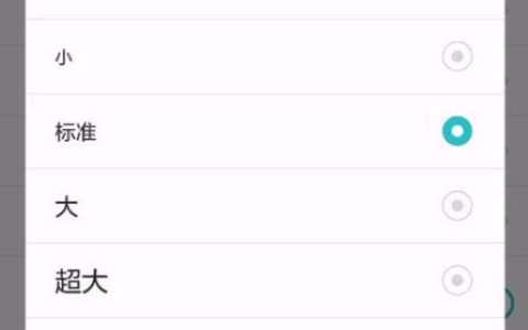 短信字体怎么调大？