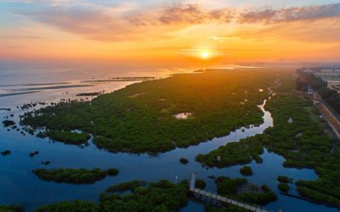北海广电宽带：广西北海的高速互联网选择