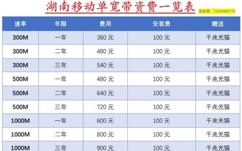 300M移动宽带一年多少钱？